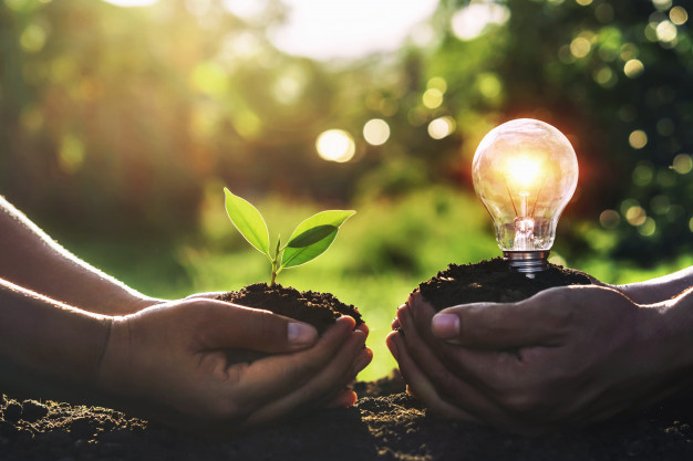 energy management services in smart solutions
